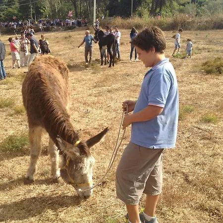 Bauernhof Agriturismo Vita E Natura