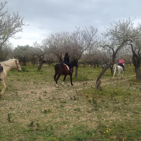 Agriturismo Vita E Natura *