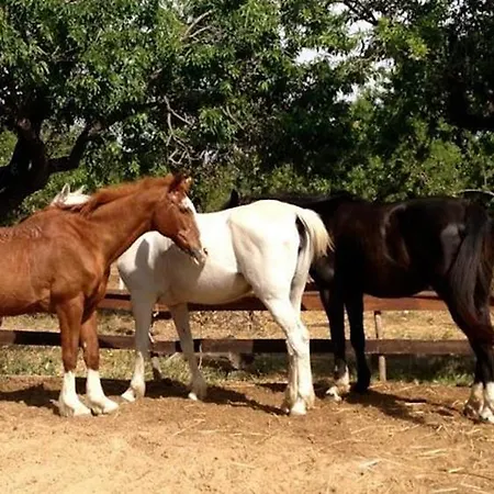 Bauernhof Agriturismo Vita E Natura Noto