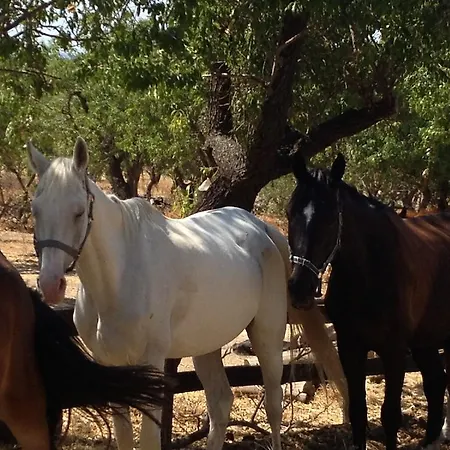 Agriturismo Vita E Natura