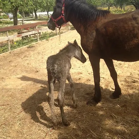 Agriturismo Vita E Natura Noto