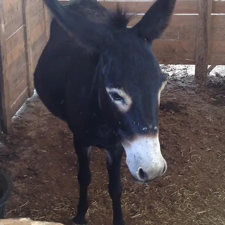 E Natura 农家乐 诺托