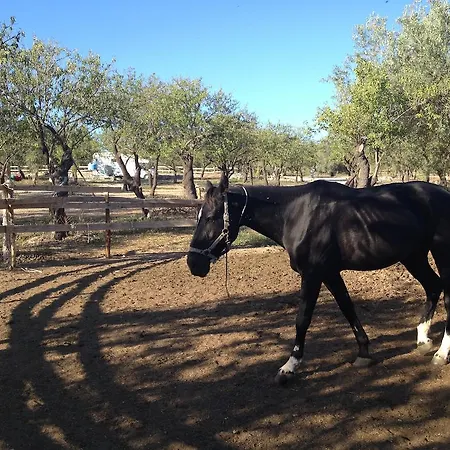 农家乐 E Natura 诺托