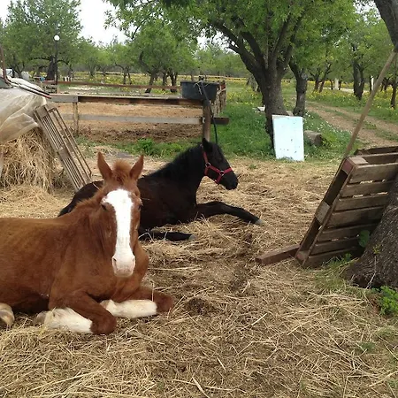 Alojamento de Turismo Rural Agriturismo Vita E Natura *