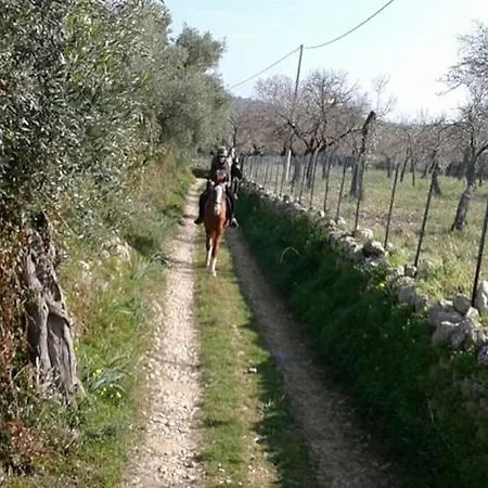 Alojamento de Turismo Rural Agriturismo Vita E Natura *