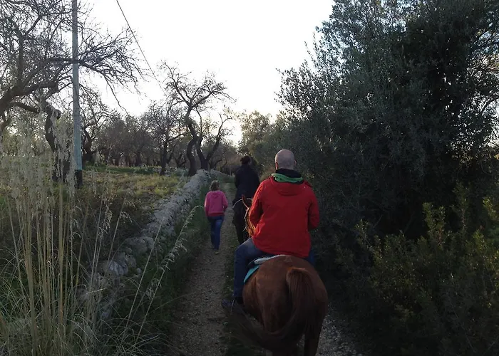 팜스테이 E Natura *