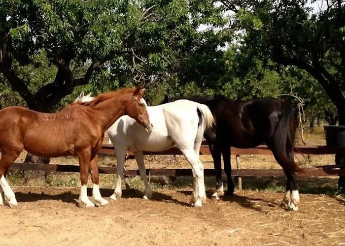 팜스테이 E Natura 노토