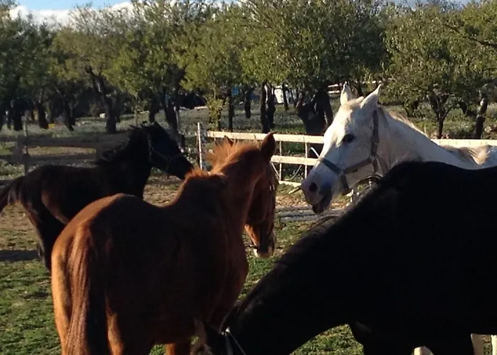 팜스테이 E Natura *