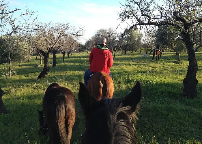 팜스테이 E Natura 노토