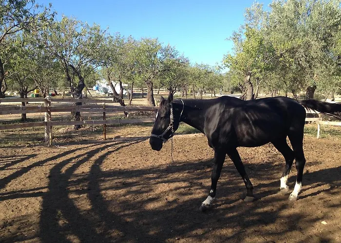팜스테이 E Natura 노토