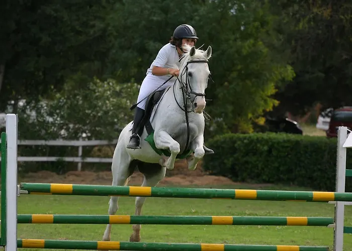 E Natura 팜스테이